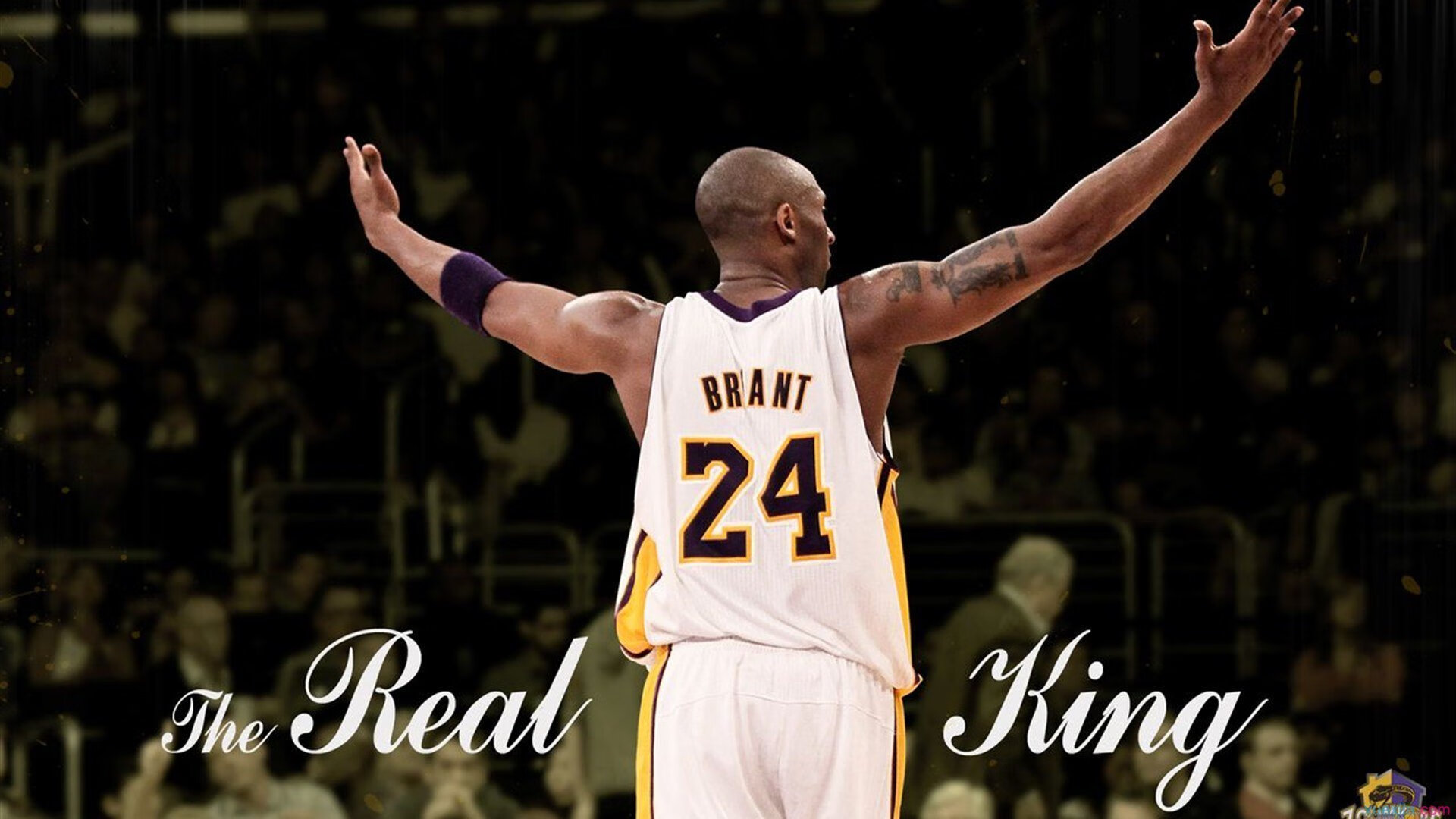 F1年度争冠之夜，库里防守端锁死对手，跨界启示录