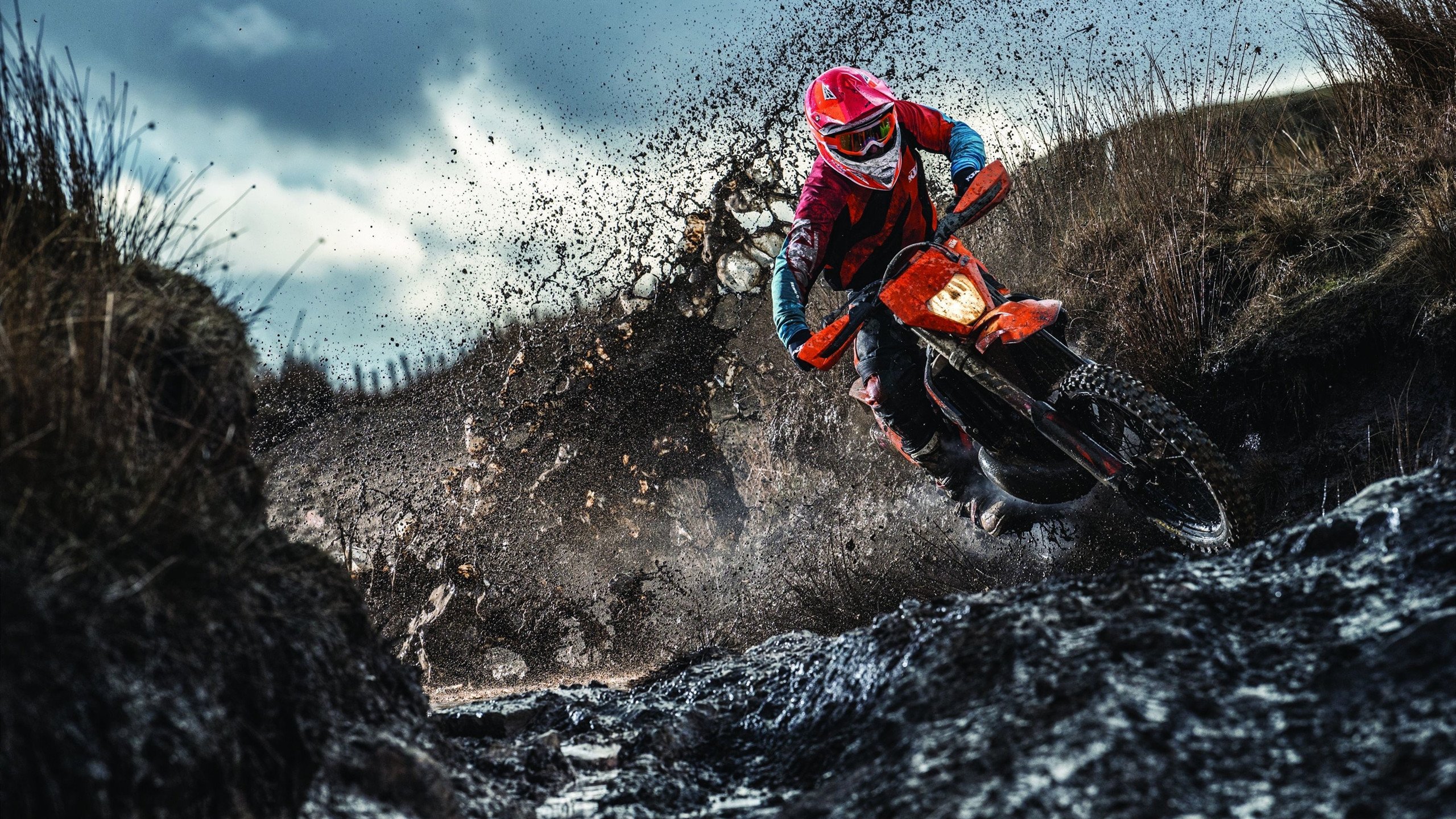 单节风暴，当法国篮球哲学击穿哥斯达黎加防线，NBA总决赛的跨洲启示