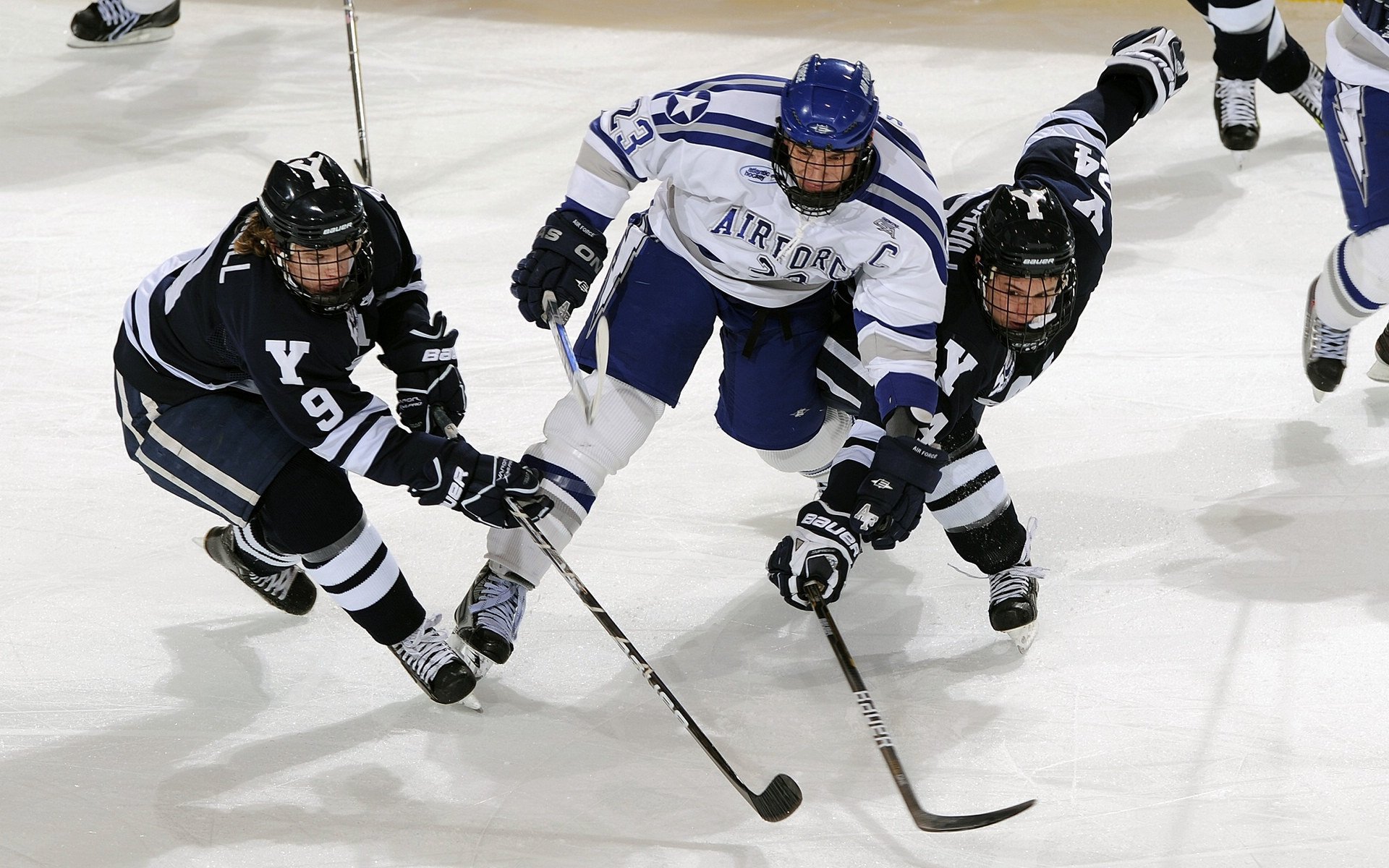 尼克斯击溃太阳，米切尔欧冠接管，体育的两种暴力美学